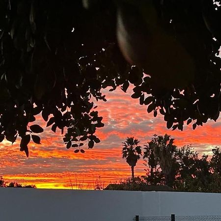 Habitacion En El Centro De Bienestar Tfm Cadiz Dış mekan fotoğraf