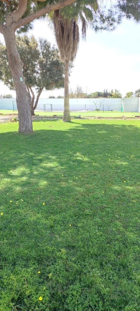 Habitacion En El Centro De Bienestar Tfm Cadiz Dış mekan fotoğraf